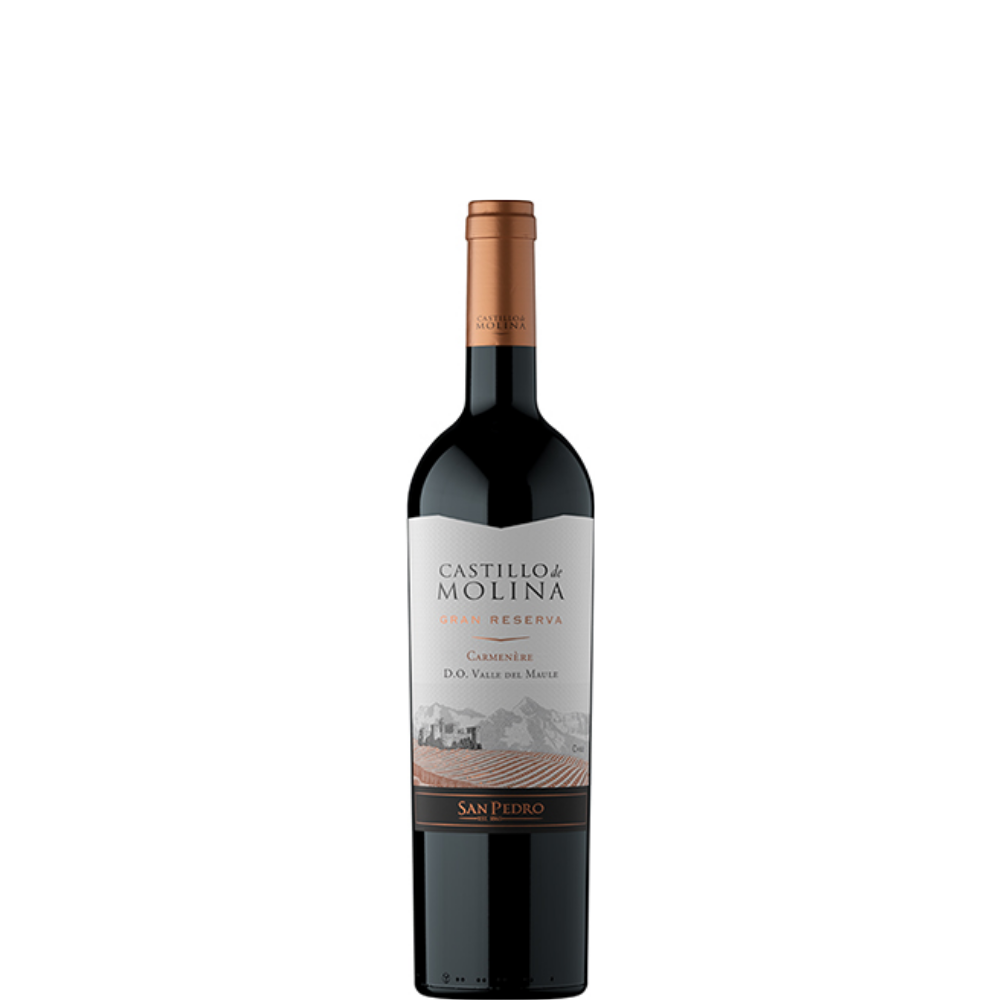 CASTILLO DE MOLINA CARMENERE