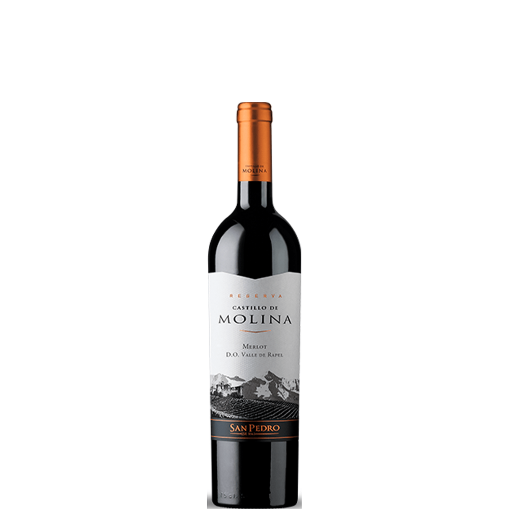VINO CASTILLO MOLINA MERLOT 750 ML.