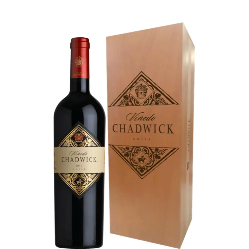 VINO VIÑEDO CHADWICK 2021 750 ML. 100 PUNTOS
